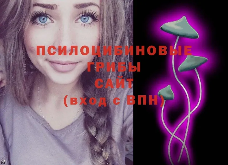 Псилоцибиновые грибы Magic Shrooms  Россошь 